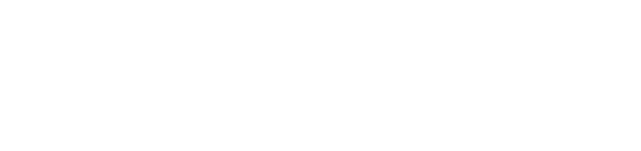 NRSPP logo