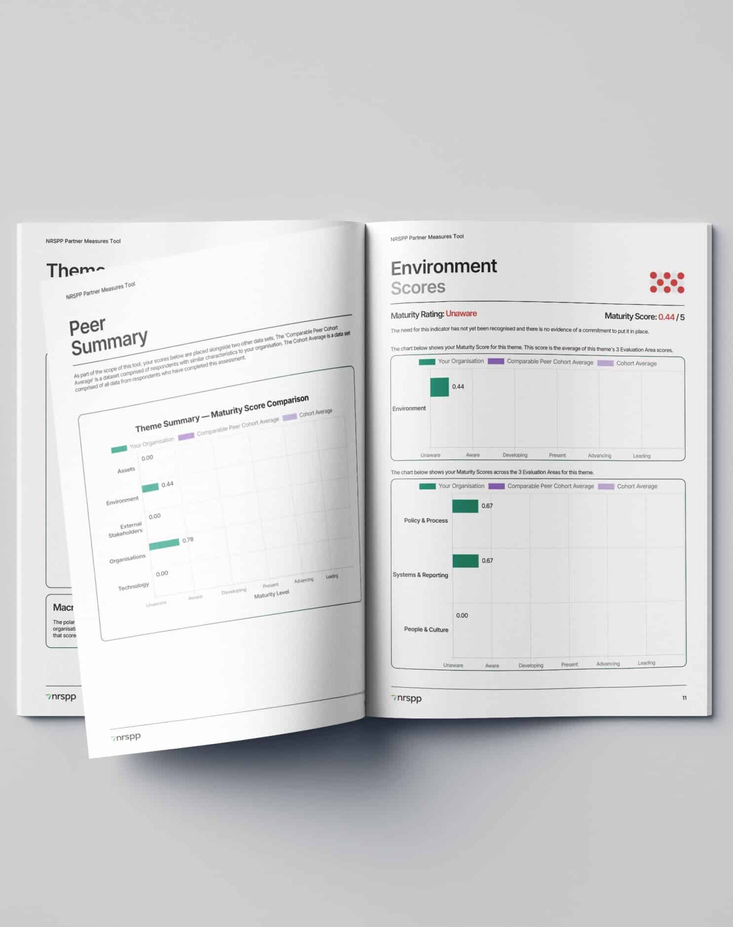 Creative Approach - NRSPP - Custom Website Developers Melbourne