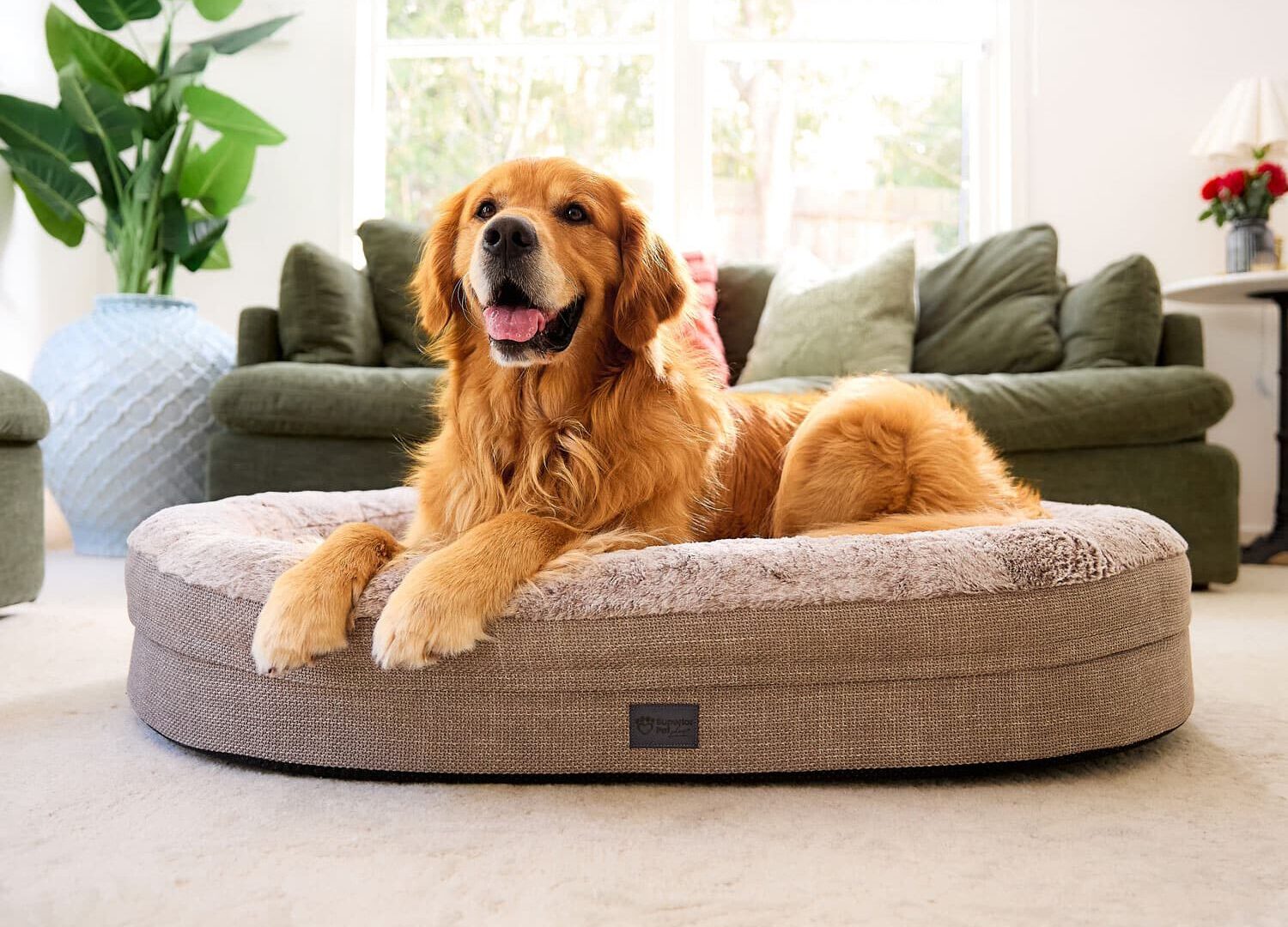 Creative Approach - Superior Pet Goods - Custom Website Developers Melbourne